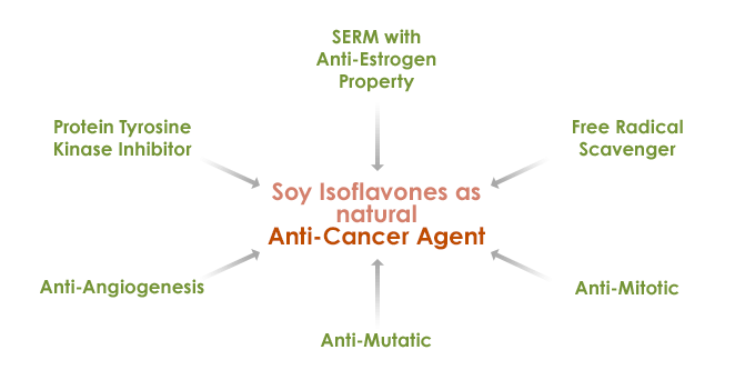 Soy isoflavones